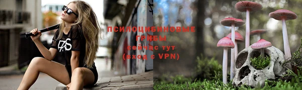 a pvp Верея