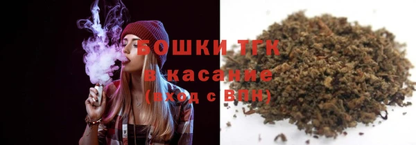 индика Верхнеуральск
