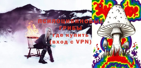 индика Верхнеуральск