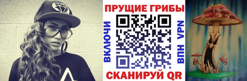 Галлюциногенные грибы ЛСД  Жердевка 