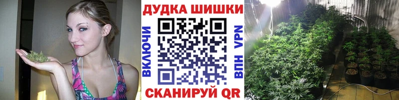 купить наркотик  кракен ССЫЛКА  МАРИХУАНА сатива  Жердевка 